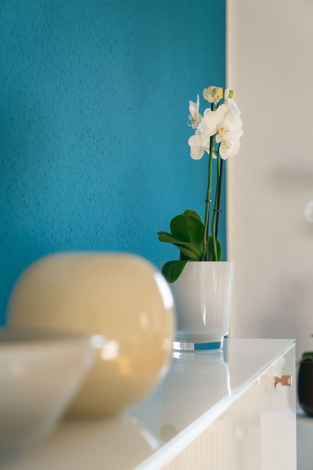 Weiße Orchidee im Glastopf auf einem weißen Sideboard vor petrolblauer Wand